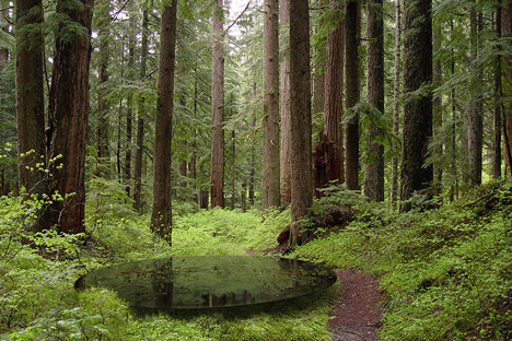 Rotunda dish of water by CITYLABORATORY at Les Jardins de Métis Quebec